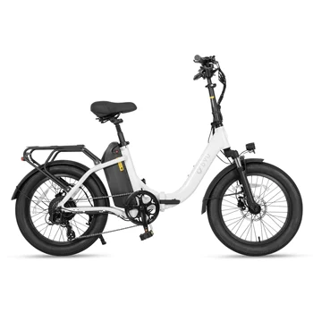DYU C9 Fat Tire Electric Bike 1