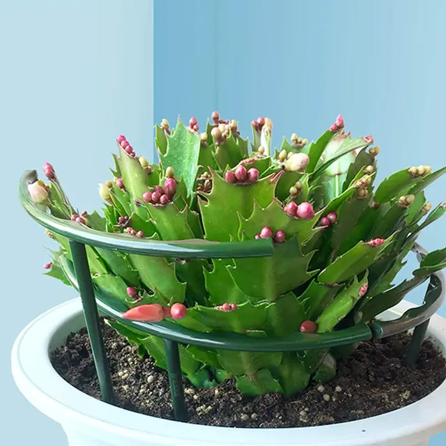 1/3Pcs Műanyag Növényi Tartó Halom Állvány Virágok Félkör Üvegházak Elrendezés Rögzítő Rúd Kert Bonsai Szerszám - Image 4