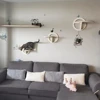 Circular Wooden Cat Wall Shelves Cat Play Furniture Sturdy Build Provide a Cozy and Trendy Spot for Cats to Lounge and Explore 4