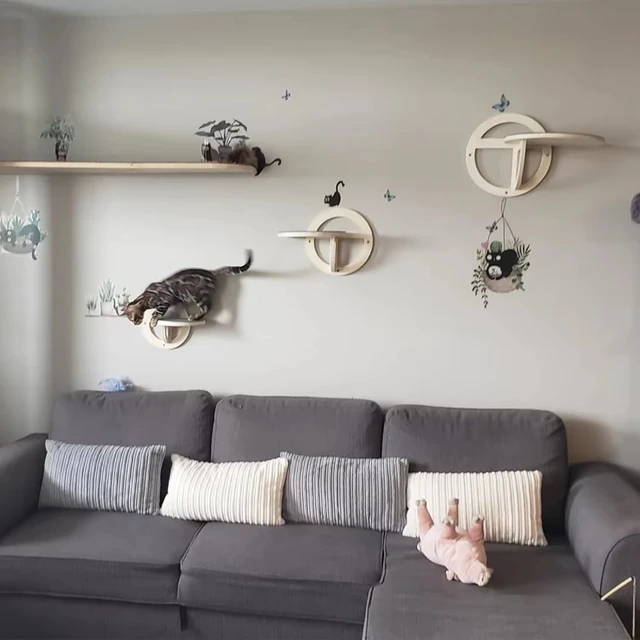 Circular Wooden Cat Wall Shelves Cat Play Furniture Sturdy Build Provide a Cozy and Trendy Spot for Cats to Lounge and Explore 4