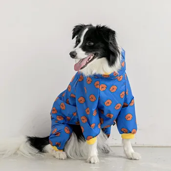 Un chien posant pour la photo dans un décor blanc et portant un imperméable bleu à motifs rouges.