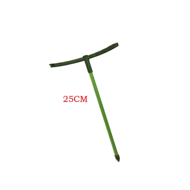 25cm
