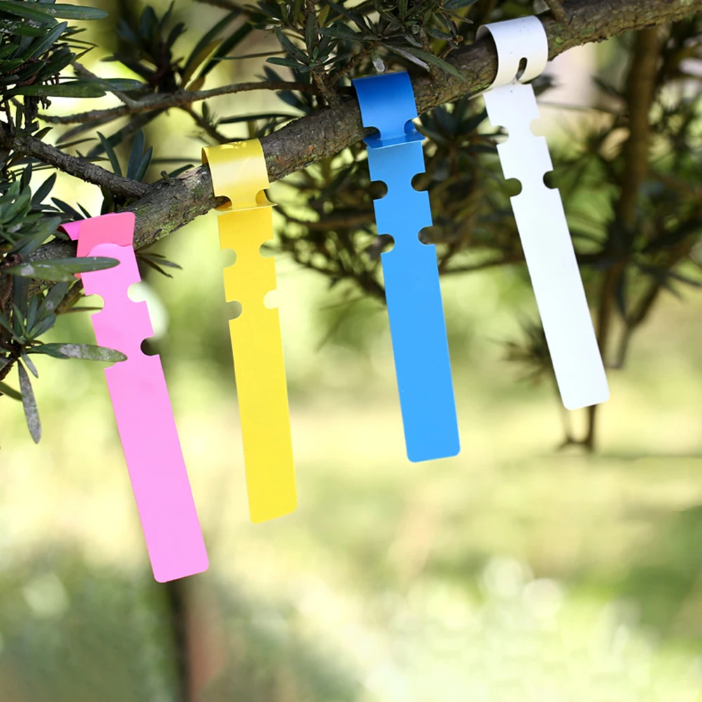 Flower Plant Labels 100PCS Pvc Waterproof Ring For Seedlings Orchids Garden Floral Markers Plastic Signboards