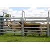 sheep/cattle/buffalo/bull/bovini/cow / paddock fence/farm gates 1