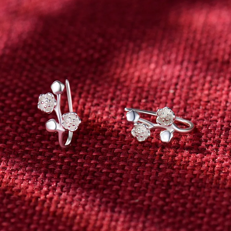 Рисунок 2 - Женские серьги из серебра 100% пробы