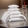 40x60 50x70 45x70cm 100% Cotton Goose Down Pillow Backrest Seat Sofa Chair Sitting Waist Footrest Bed Cushion Pad Pillow Filling 1