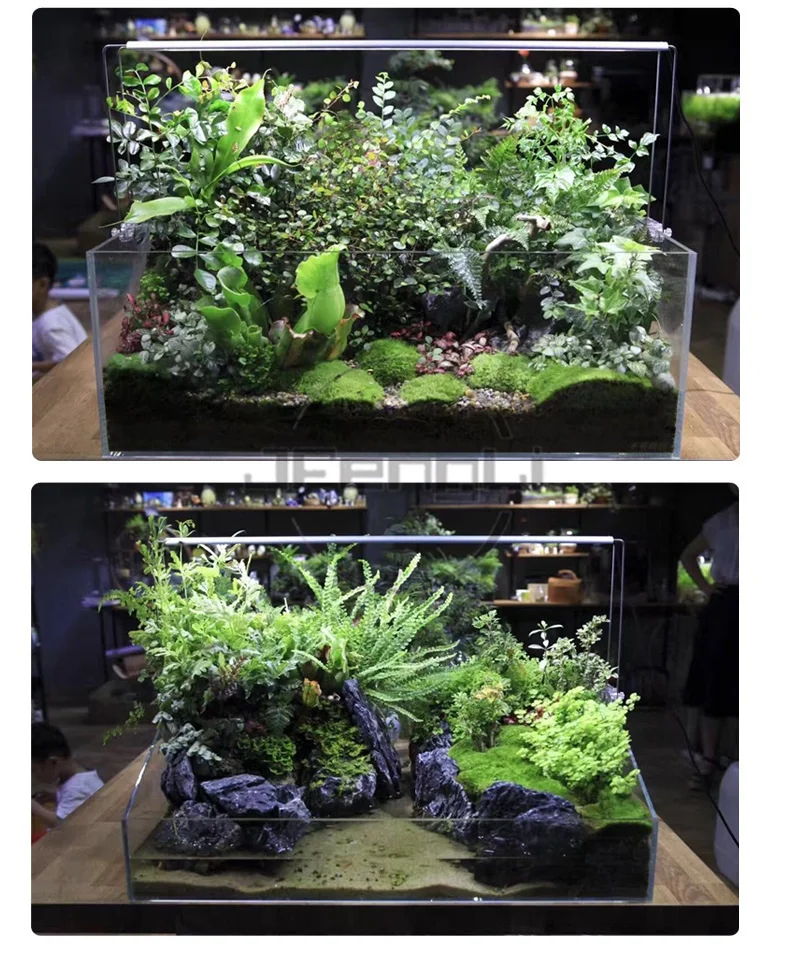 O1CN01esuMMM22n9wS0n6IR_!!2925037164