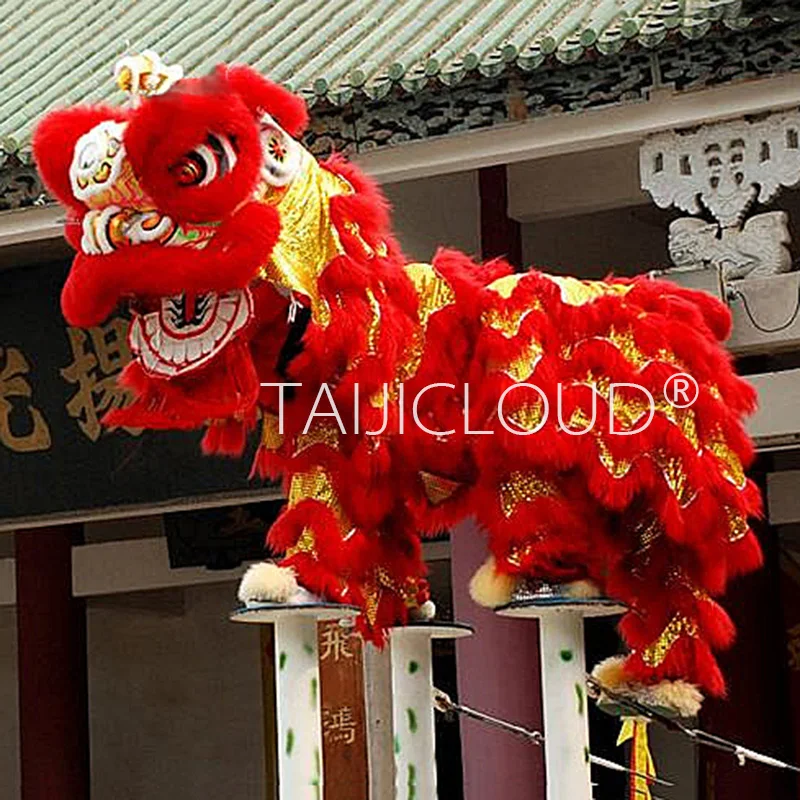 Complete Set of Lion Dance Props South Lion Awakening Dragon Dance Clothing Two Person Wool Clothing