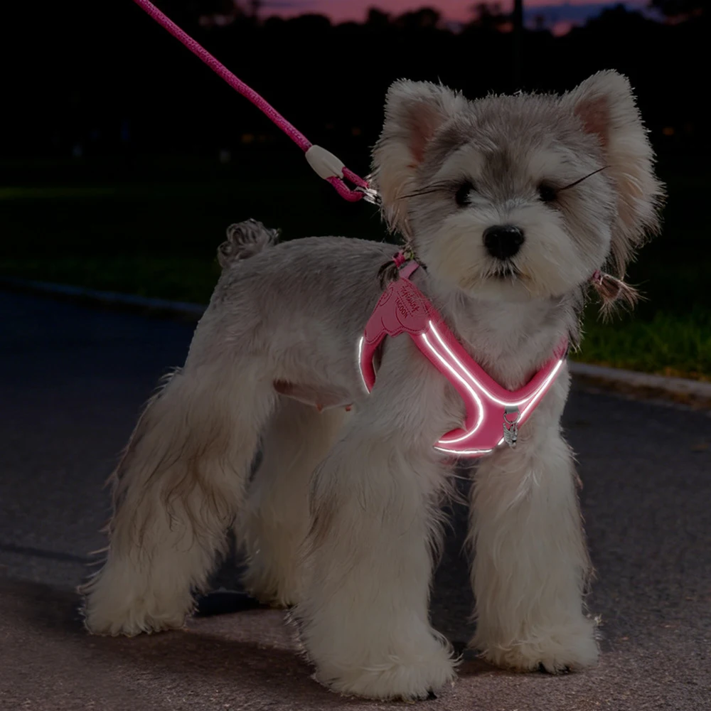 Eye Shape Dog Harness and Leash Set for Small Dogs,Cute Fashion Puppy Walking Vest, Reflective Adjustable Pet Harness for Daily