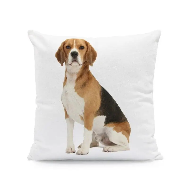 ��� ���� ���� �䳢 ������ Ŀ�� �۱� ����, ����ġ �ҵ�, �Ϳ��� ������ ����