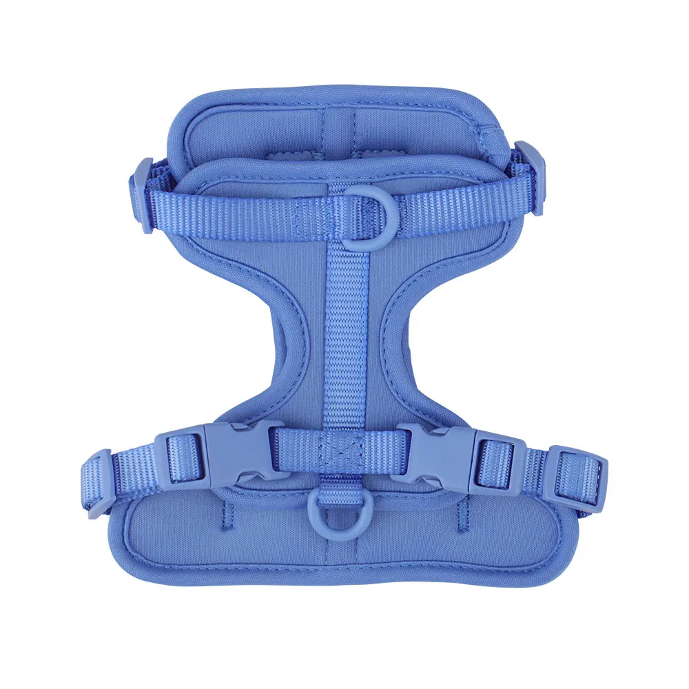 Breathable Lightweight Dog Harness with Adjustable Chest Strap for Outdoor Walks and Training