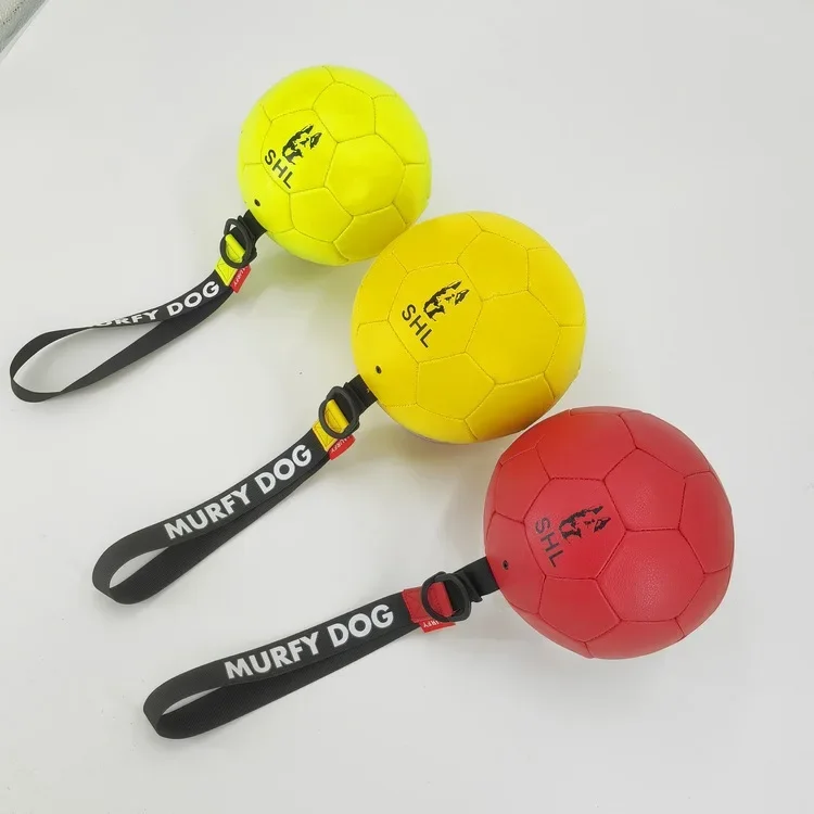 Giocattolo Interattivo Per Cani Con Palla, Giocattolo