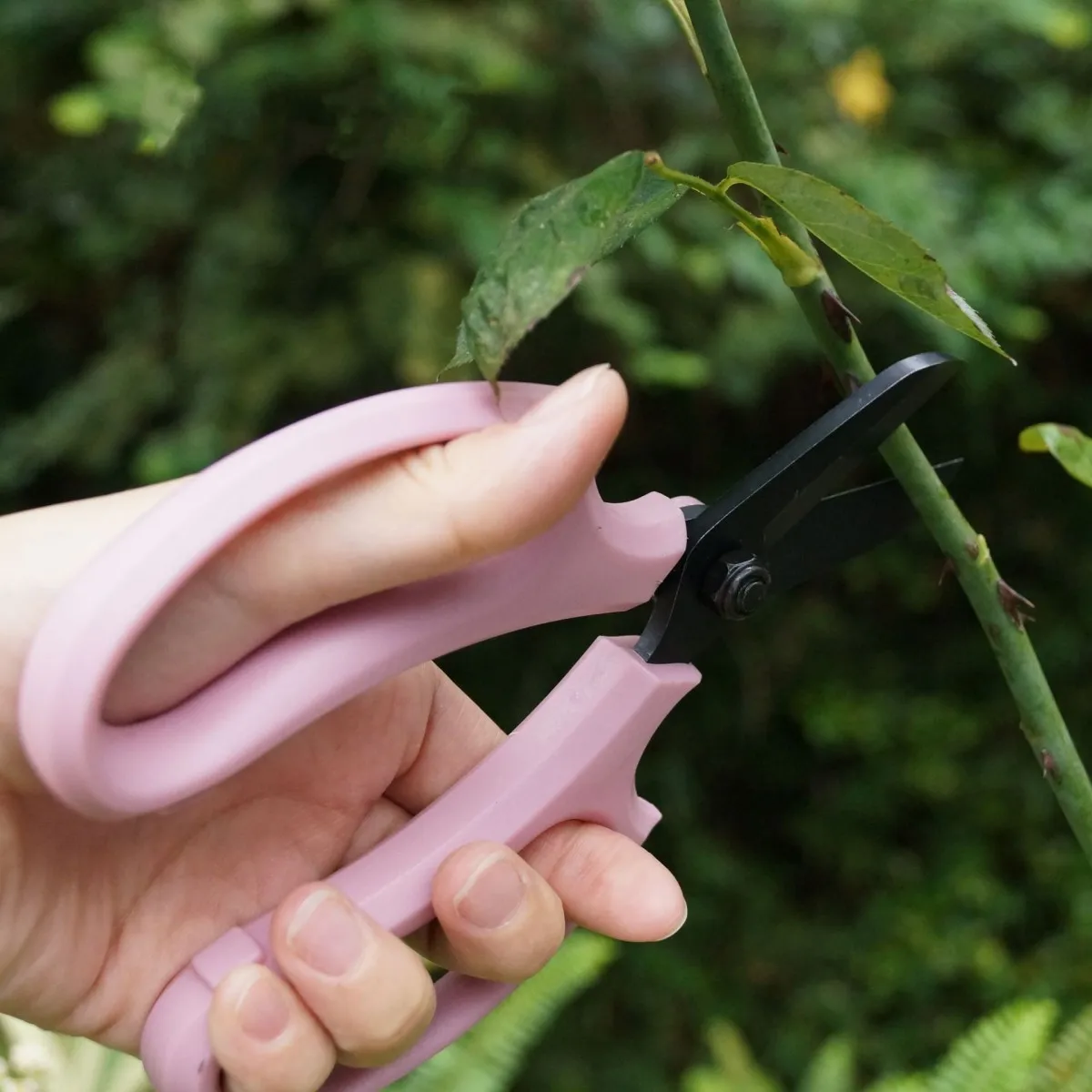Steel Bonsai Tree Trimmer Hand Garden Tools Grafting Pruner Scissors Pruning Shears