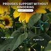20Pcs Plant Fixed Clips Reusable Garden Greenhouse Bracket for Fixed Plants Vine Flower Seedling Stem Support Garden Supplies 5