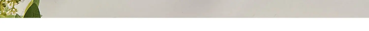 Description Picture 6 of itemSafety Toilet Handrail Support Elderly Gadgets Shower Handrail Disability Bathroom Pasamanos Old People Helping Accessories