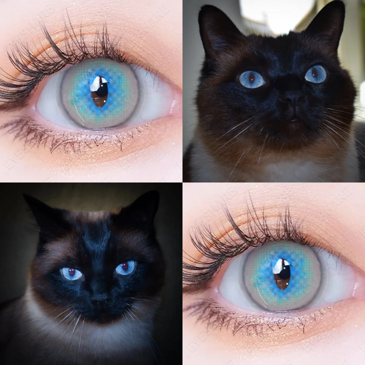 Blue Cat Eye Contacts