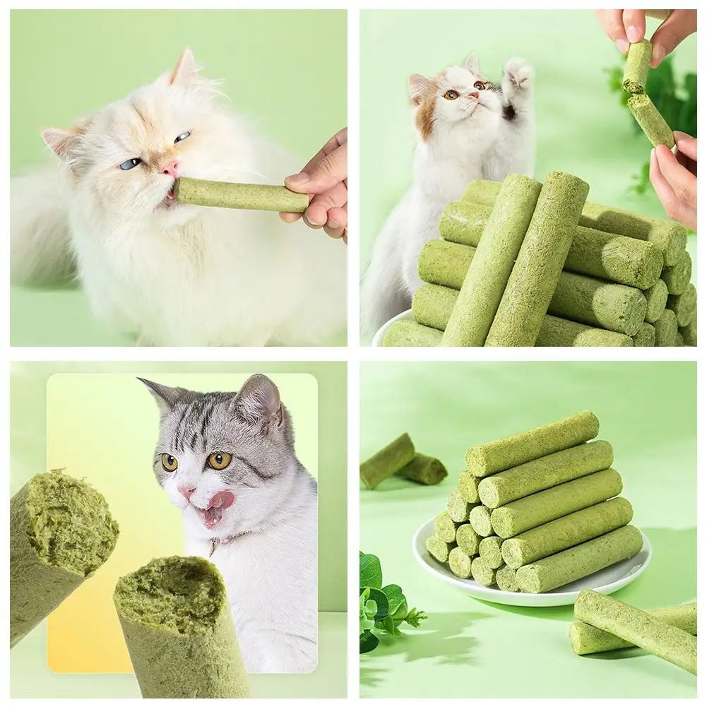 Cat Grass Teeth Grinding Stick Pet Snacks Eat Ready Sticks Baby Removal Cleaning Mild Hairball To Row Hair 6/3/1PCS cat grass sticks