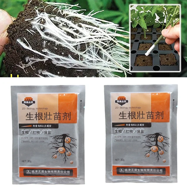 10Db Gyors Gyökerezés A Növényi Por Megtermékenyítésében