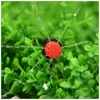 50M Self Automatic Garden Watering System Water Drip Irrigation System Plant Watering Kit Irrigation Drippers Mist Set 4