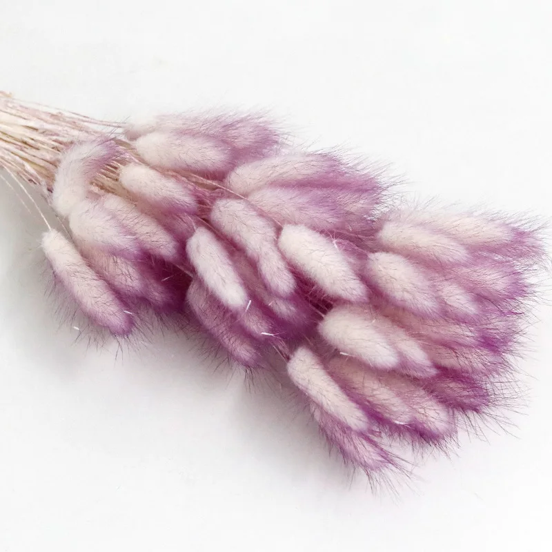 Рисунок 4 - букет зайцевых хвостов