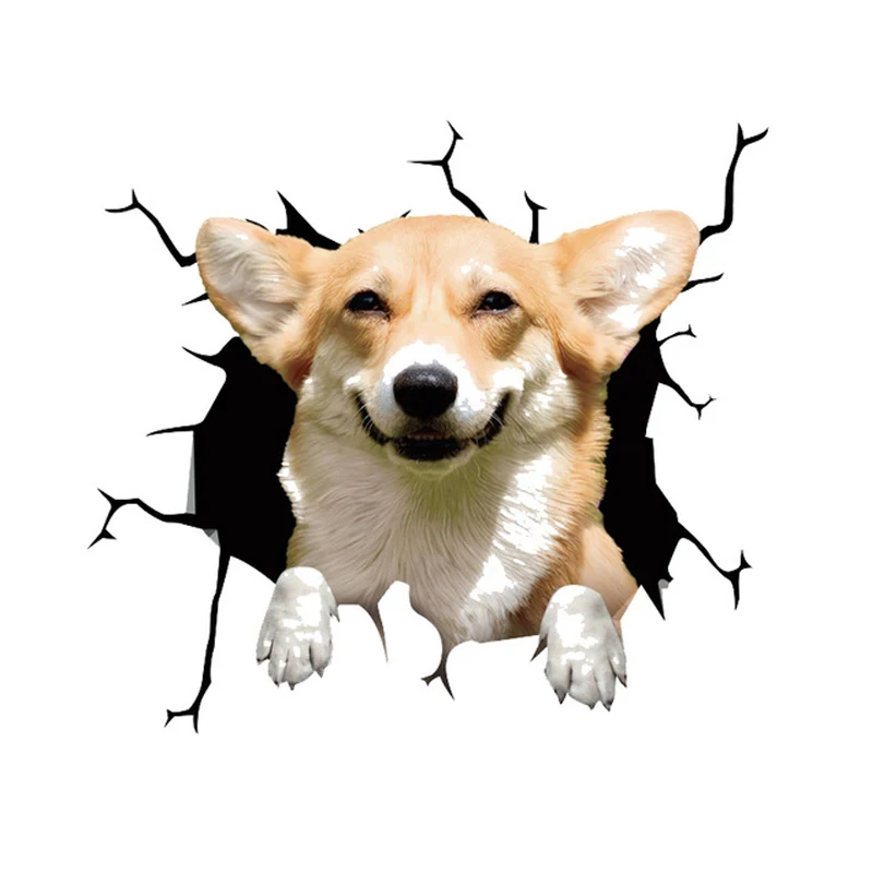 3D  ڵ ƼĿ   ڵ ƼĿ ȭ ƼĿ  ƼĿ ̵ Ʈ Į ƼĿ Ȩ ,  