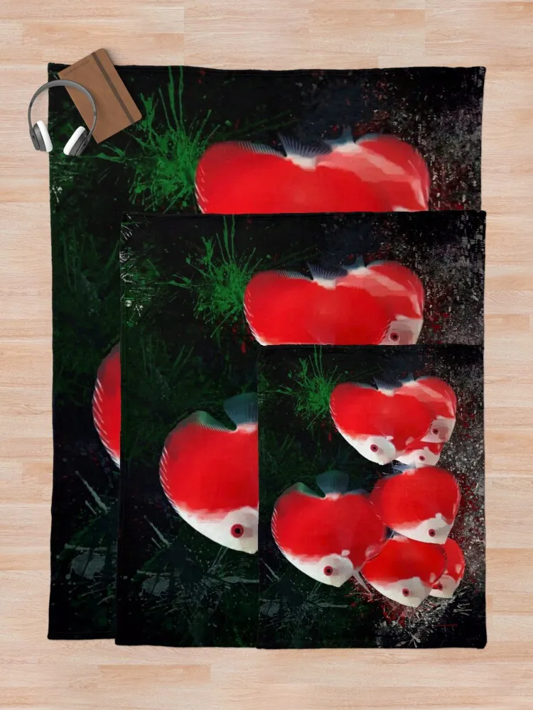 ��� �� ������ ���� ����ο� ���, ��Ʈ�� ����Ŷ ���� ����Ŷ