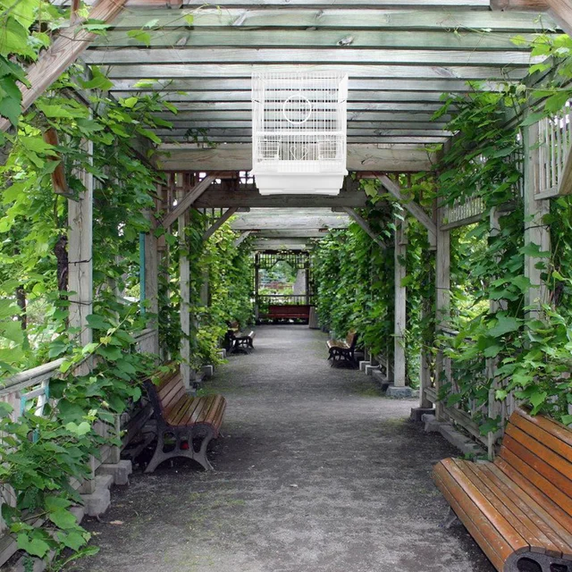 Parco Giochi Per Pappagalli In Legno - Palestra Per Uccelli, 24.5x22x22 Cm, Per Cocorite E Cacatua