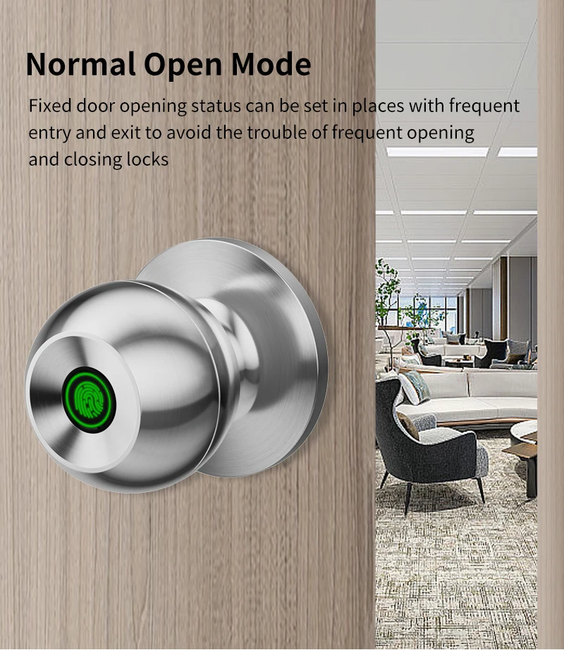 K10 Tuya APP Biometric Fingerprint Smart Door Lock Electronic Lock Keyless Secur