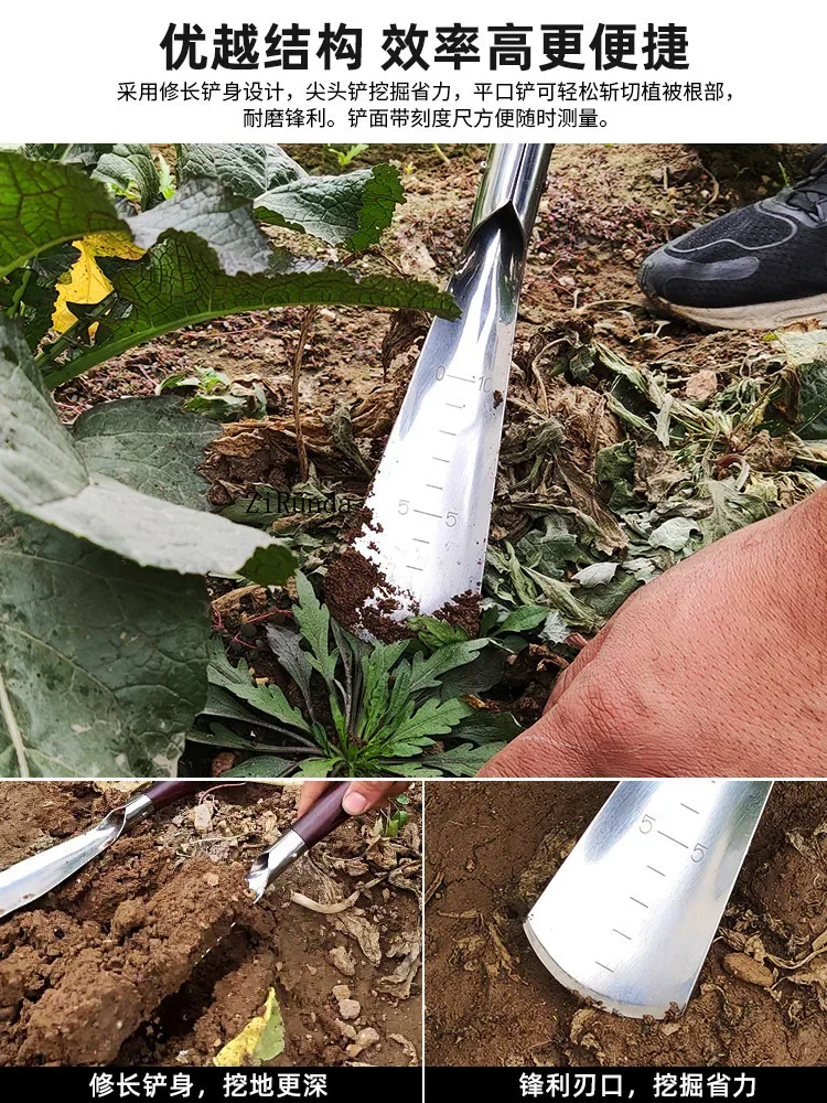~Small shovel for planting flowers, digging wild vegetables,  catching sea and growing vegetables, shovel for agricultural use 5