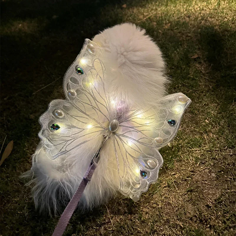 wings glowing butterfly back decoration For Dog & Cats - PeticaDeals
