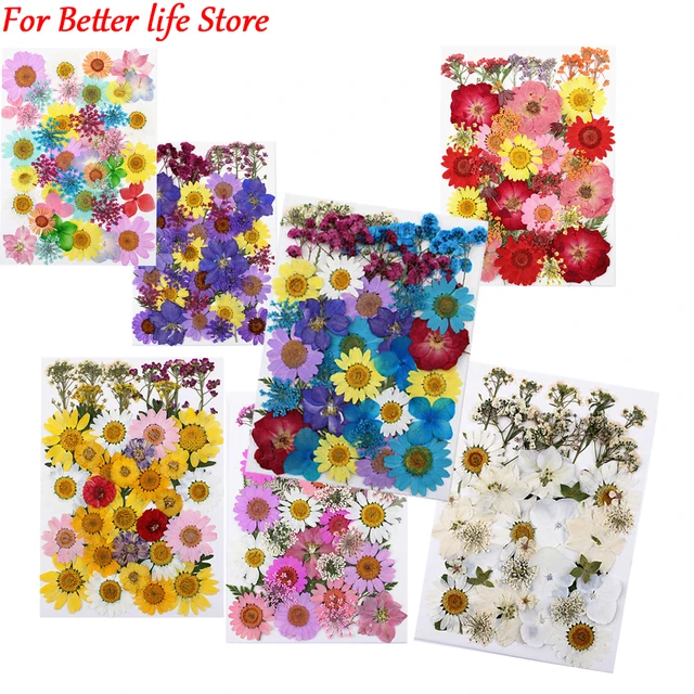 Dried pressed flowers for resin crafts, Pressed flowers & LED light