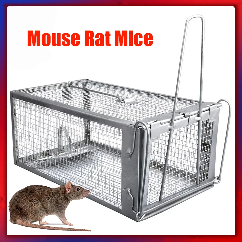 Mouse, Rat, or Mice Cage 1