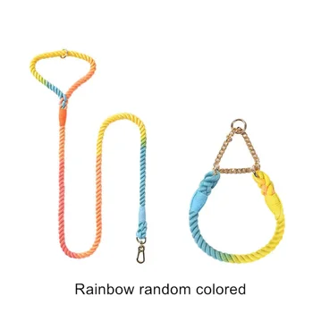 Woven Polyester Cotton Rope Pet Collars Leashes Anti-stray Dog Collar and Leash Set 2