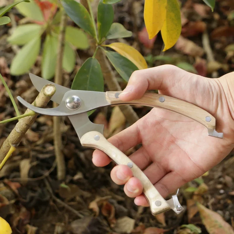 Slide image 47a97fc60dcc4fe694fa04784305a2dc