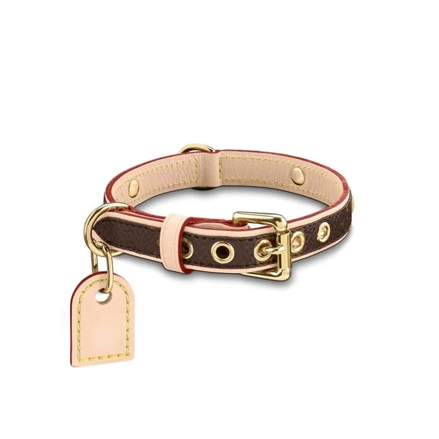 designer cat collars