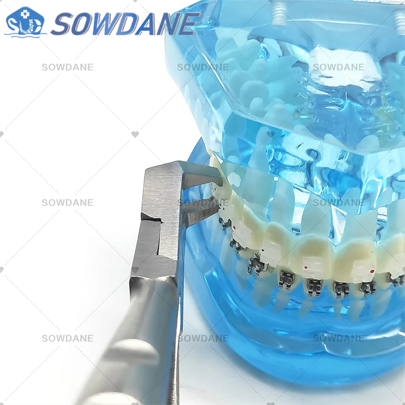 Pinza Ortodontica Medspo Per Rimozione Staffe E Bande – Strumento Chirurgico In Acciaio