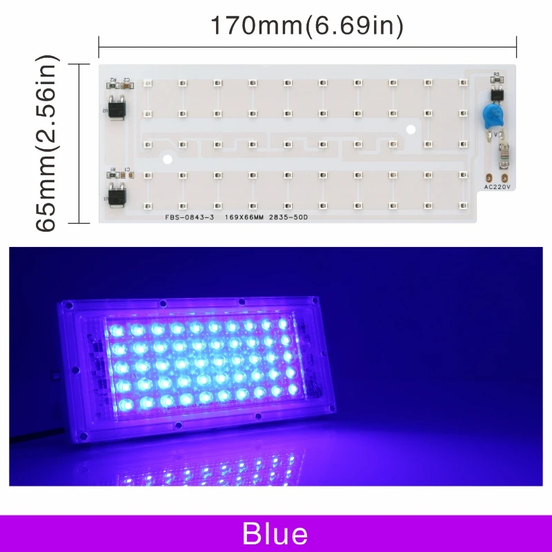 Blue LED Chip