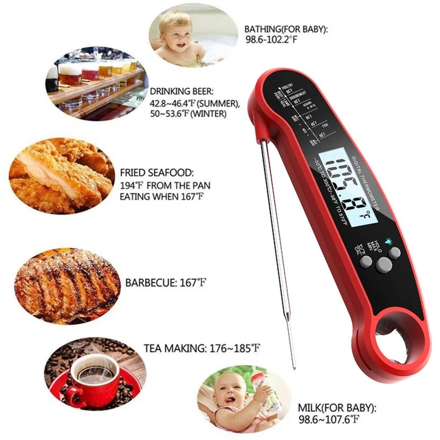 A Wireless Meat Thermometer Is the Secret to Winter Barbecuing