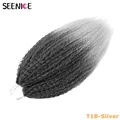 T1B-Silver