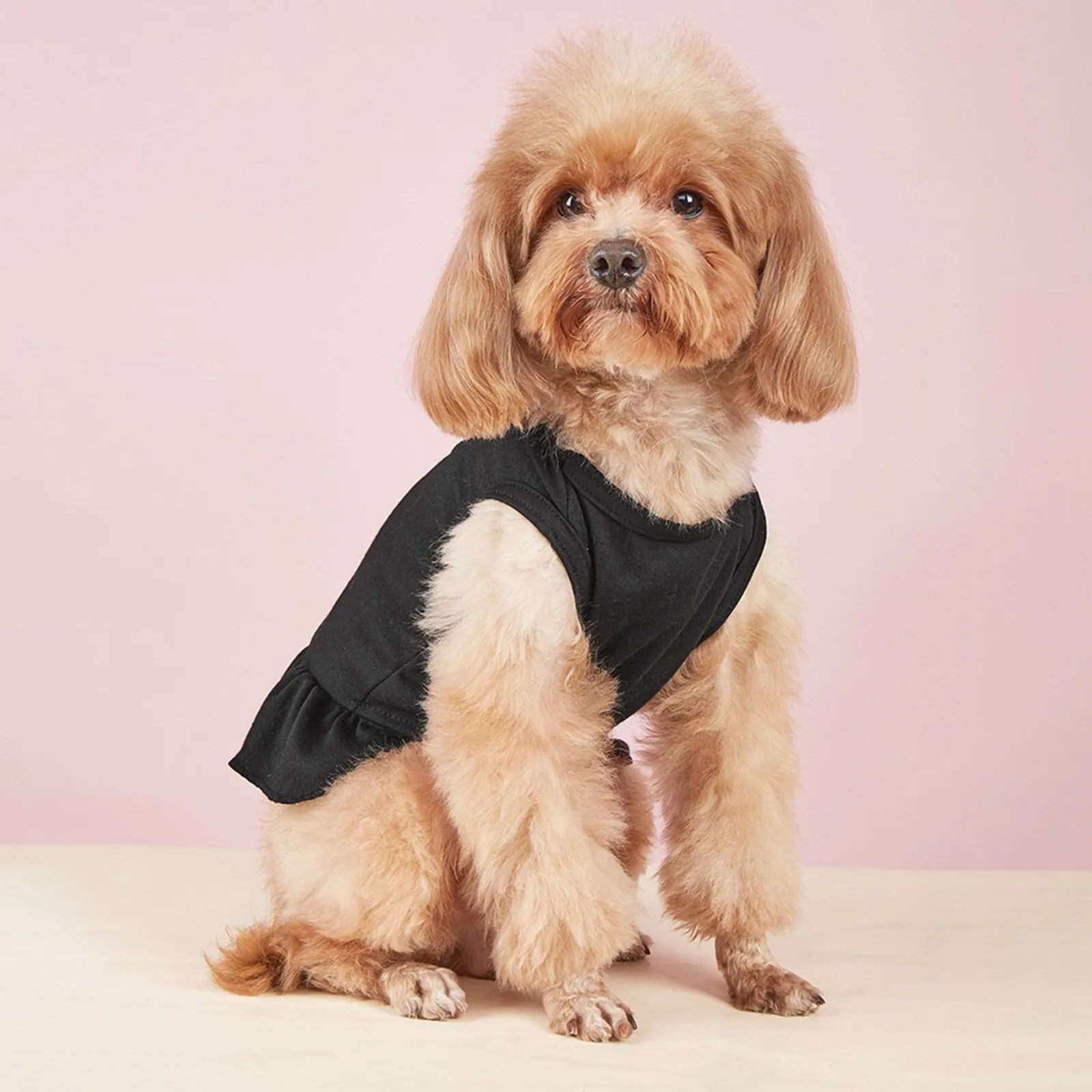 Pet Clothes Spring Summer Pet Breathable Comfortable Clothes Cute Printed for Cats for Large Dogs Female