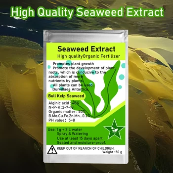 50g Bull Kelp Seaweed Extract Green New Organic Fertilizer Rich In Organic Matter Durvillaea Antartica Material