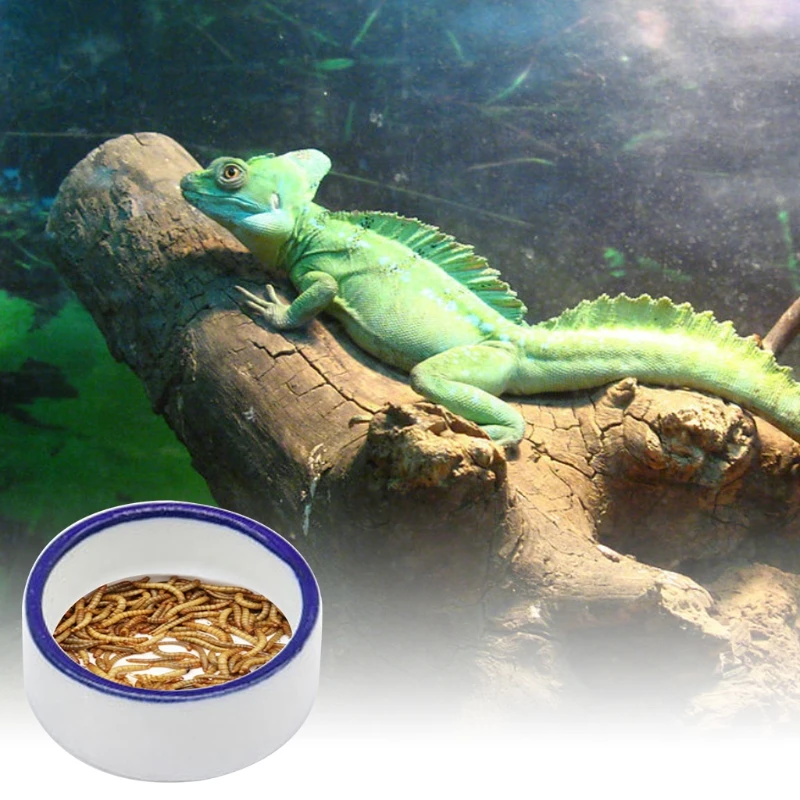 Reptile Feed Bowls Water Food Bowl Ceramic Pet Bowls Anti-Escape Mini Mealworms Dish for Lizard Bearded Dragon