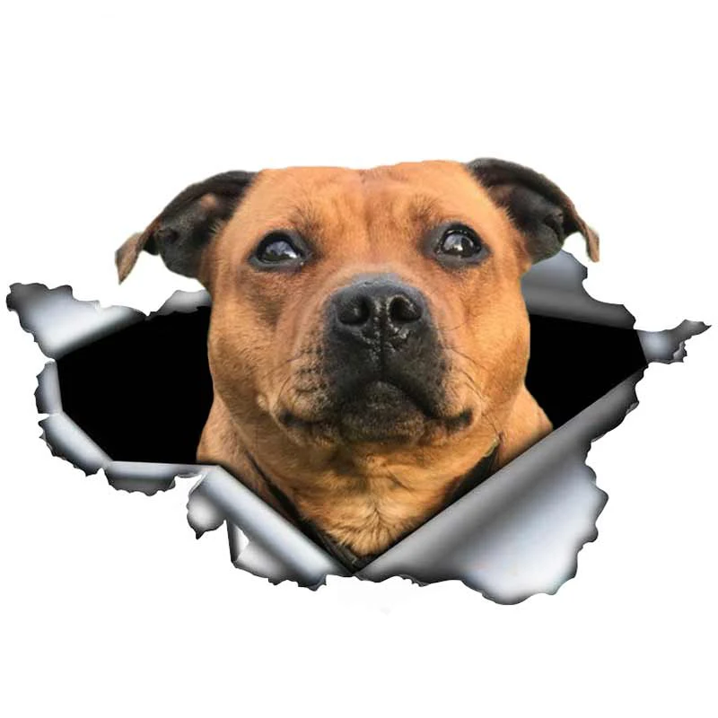 

N386# Car Sticker Staffordshire Bull Terrier Waterproof Vinyl Decal Car Accessories Pegatinas Para Coche DIY Car Styling