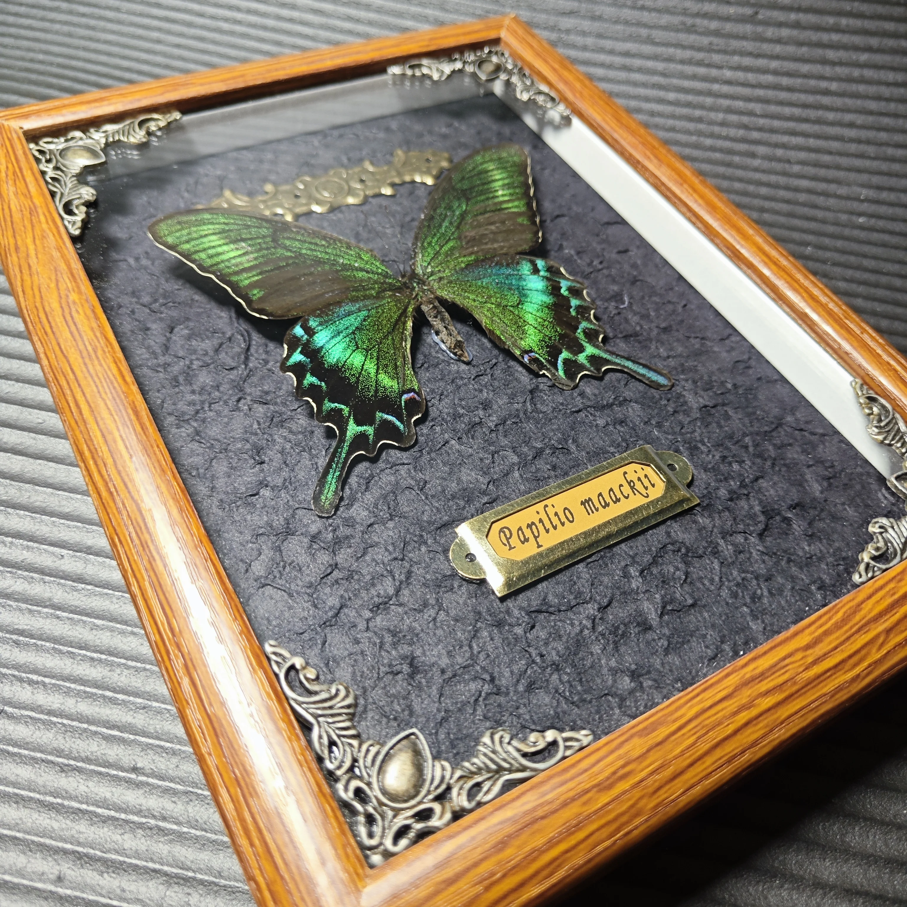 Real butterfly wood Picture Frame specimen Home decoration Birthday gift 6