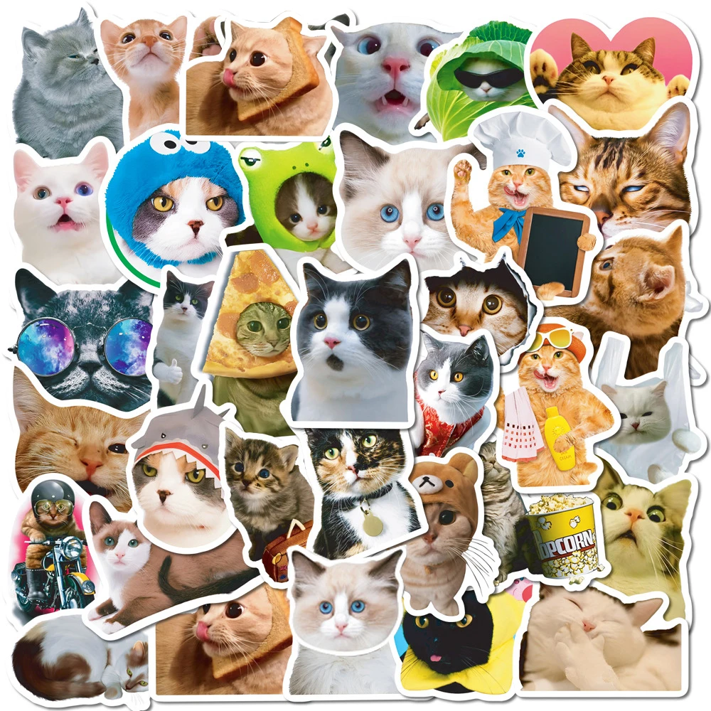 

10/30/50pcs Meme Cat Cartoon Stickers Aesthetics Animal Sticker Car Bike Motorcycle Laptop Skateboard Suitcase Kid Decal Toys