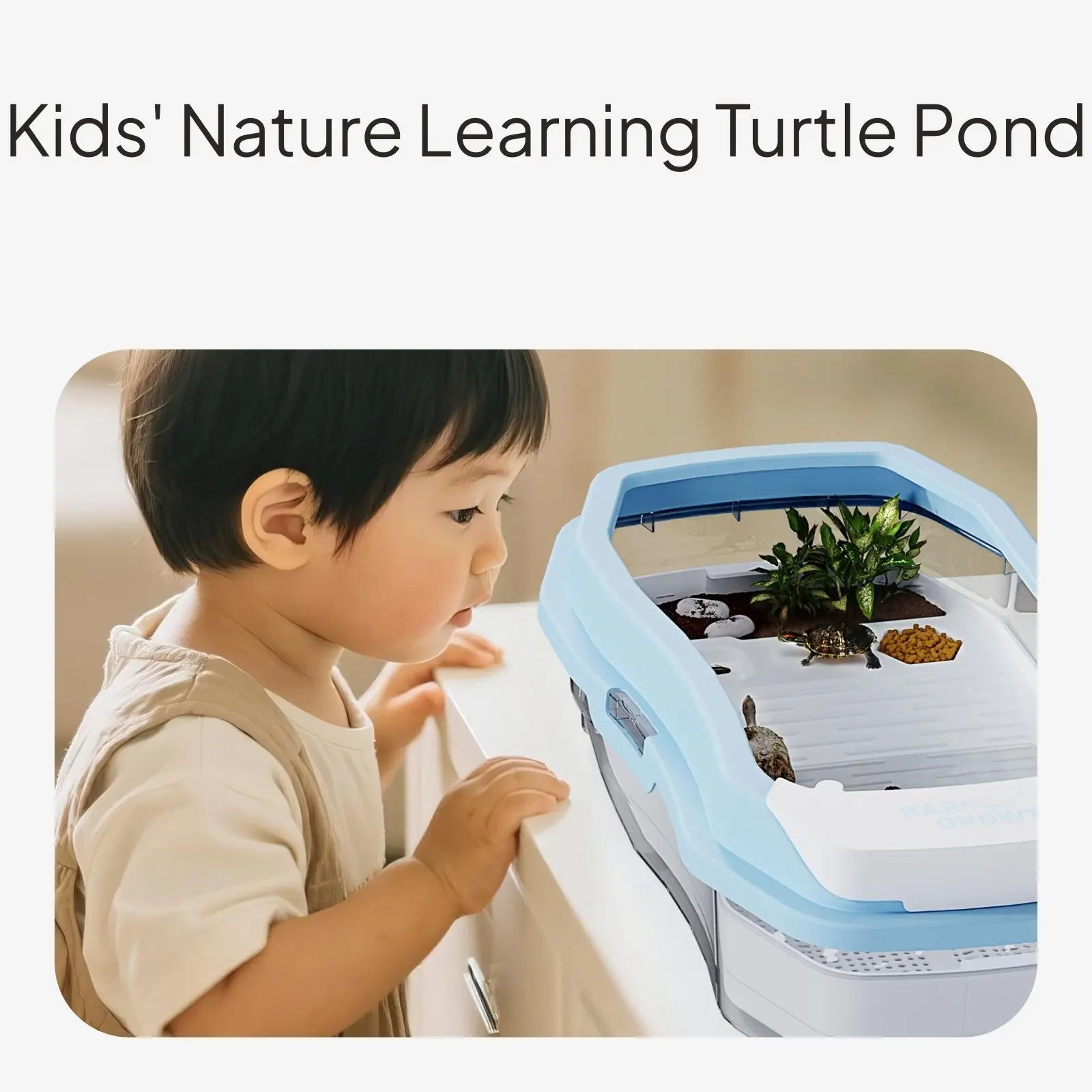 Turtle Terrarium with Basking Platform and Filtration