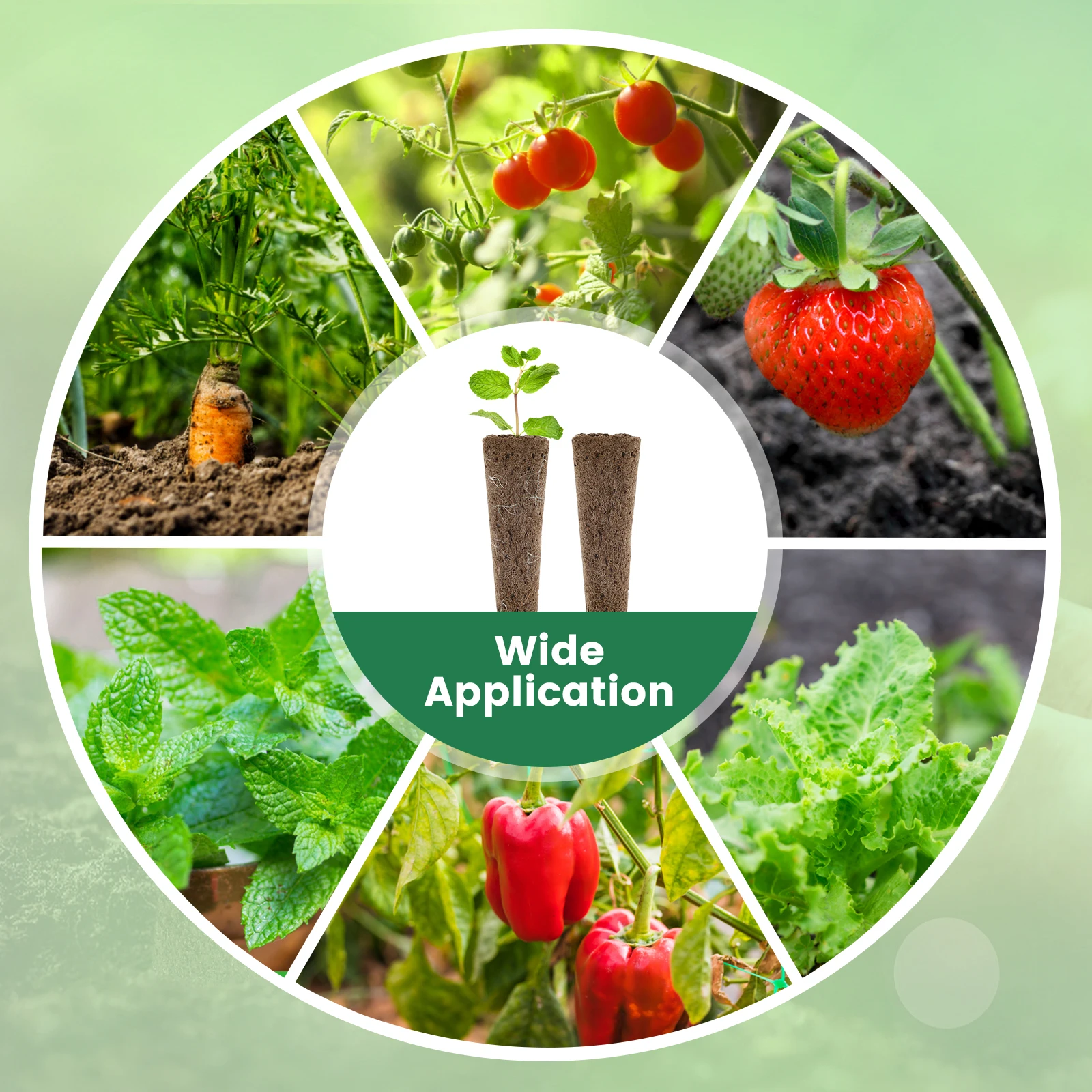 50/100Pcs Seed Grow Sponges Hydroponic Pods Kit with Plant Labels Replacement Root Growth Sponges Indoor Gardening Accessories