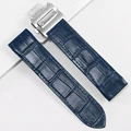 Blue-Silver Buckle