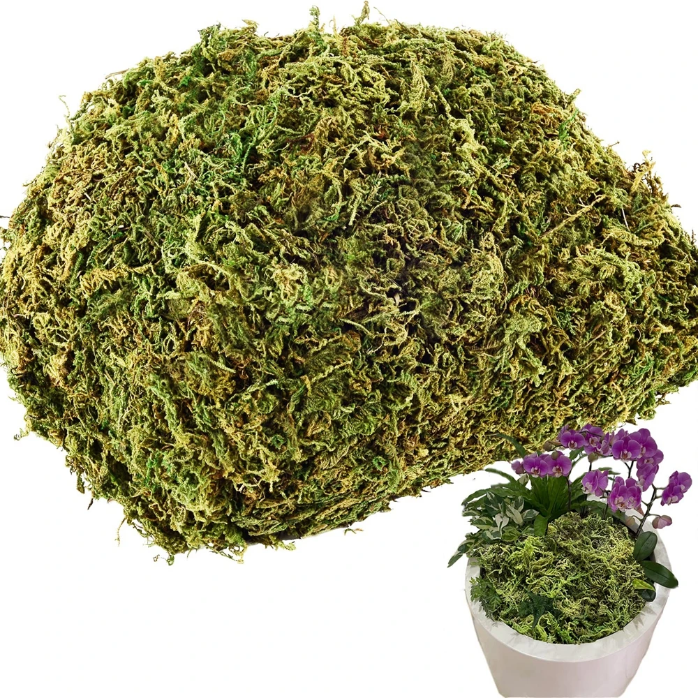 50/100g Moss for Potted Plants Artificial Moss for Fake Plants Faux