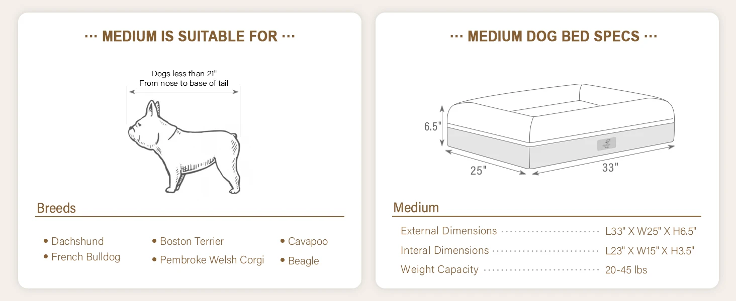 dog beds for medium dogs